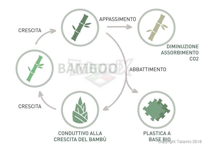 Tatami Made In Italy Kit 4 Pezzi TATAMI GREEN ECO 2 cm Quantità minima per la vendita 4 Kit Eco20