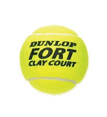 Palle Tennis Dunlop PRO TOUR 4 BALL
