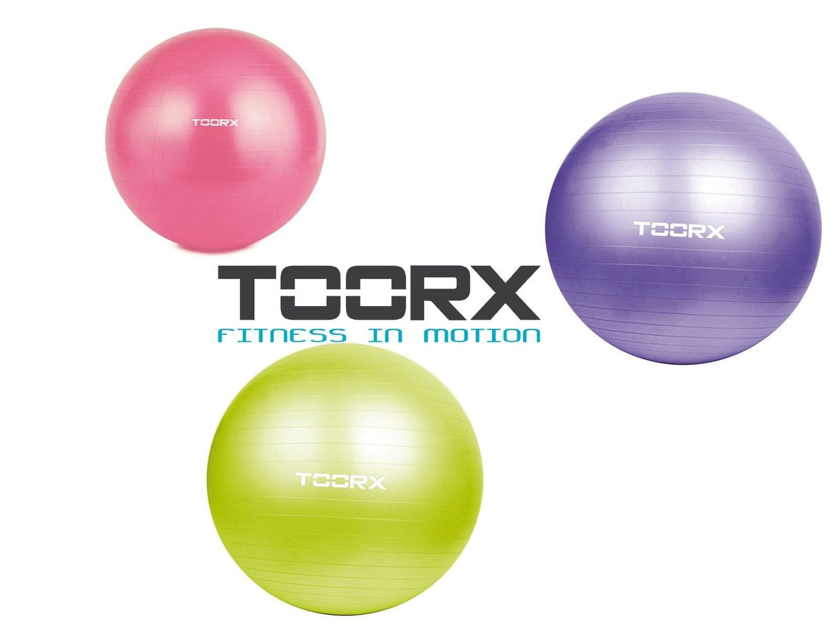 Gym Ball Fuxia AHF-069 Toorx Diametro cm 55