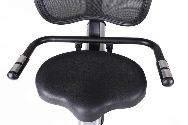 Cyclette Toorx BRX RECUMBENT 300 cod. BRX-R300