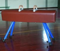 Cavallo Con Maniglie E Fusto In Similpelle Art. G 131