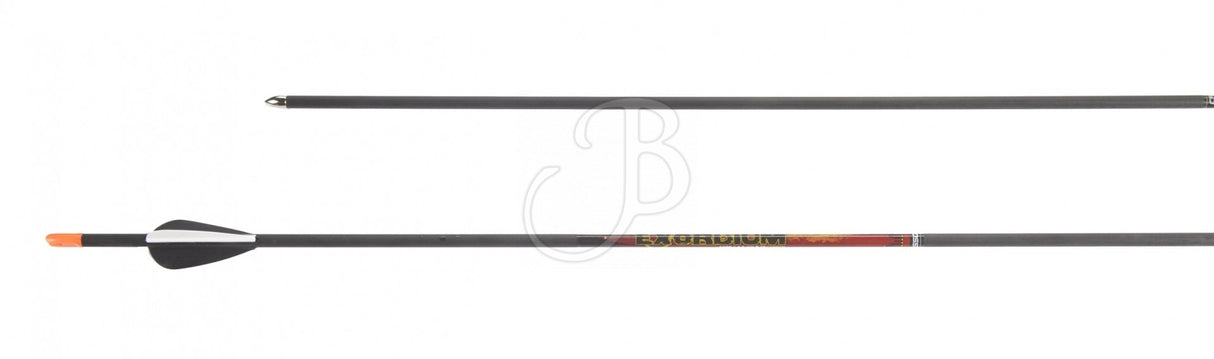 FRECCIA CROSS-X FRECCIA EXORDIUM fibra di carbonio