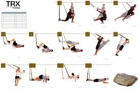 TRX TOTAL TRAINING EXPERIENCE MOVI FITNESS MF527