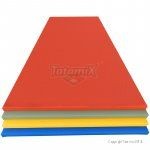 Tatami Tradizionale TL50 Pvc 200x100x5cm PU+PE Blu Peso 15 Kg