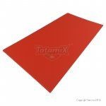 Tatami Tradizionale TL50 Pvc 200x100x5cm PU+PE Blu Peso 15 Kg