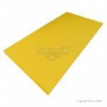 Tatami Tradizionale TL50 Pvc 200x100x5cm PU+PE Blu Peso 15 Kg