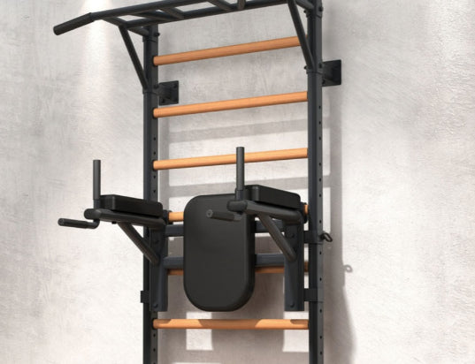 Dip Station per spalliera multifunzionale LDX-3000