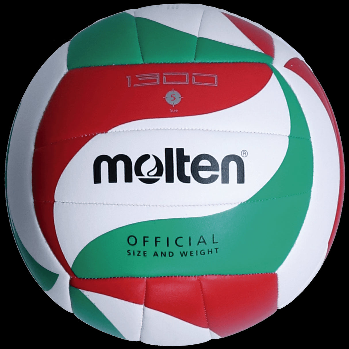 Pallone Pallavolo Molten V5M1300