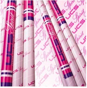 Asta per salto con l'asta, modello propedeutico personalizzato Cod. A 500