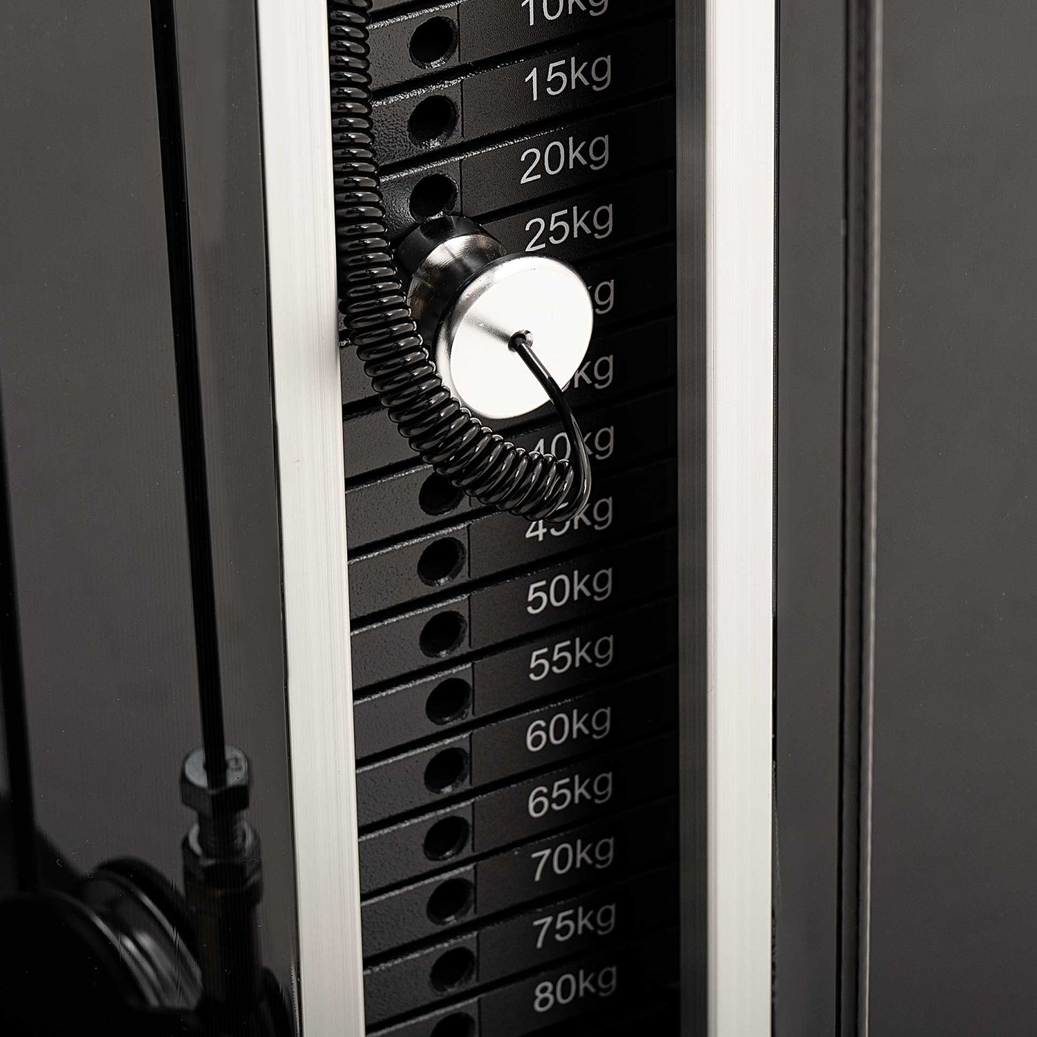 S550 PECTORAL FLY / REAR DELTOID Diamond Cod. WS550-BUTTERFLY