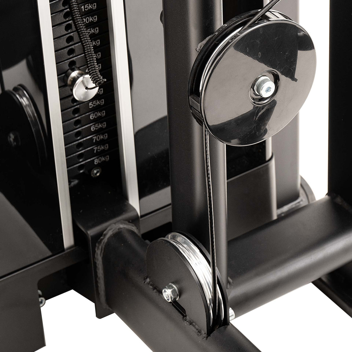 S550 GLUTEUS MACHINE Diamond WS550-GLUTEUSMACHINE