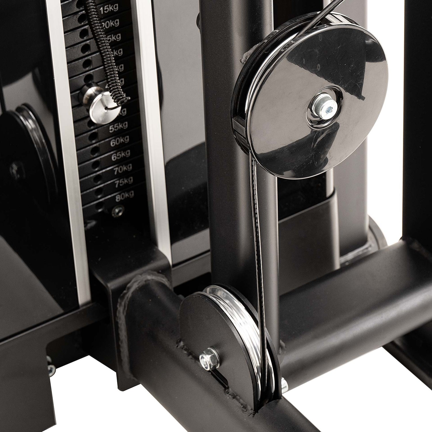 S550 GLUTEUS MACHINE Diamond WS550-GLUTEUSMACHINE