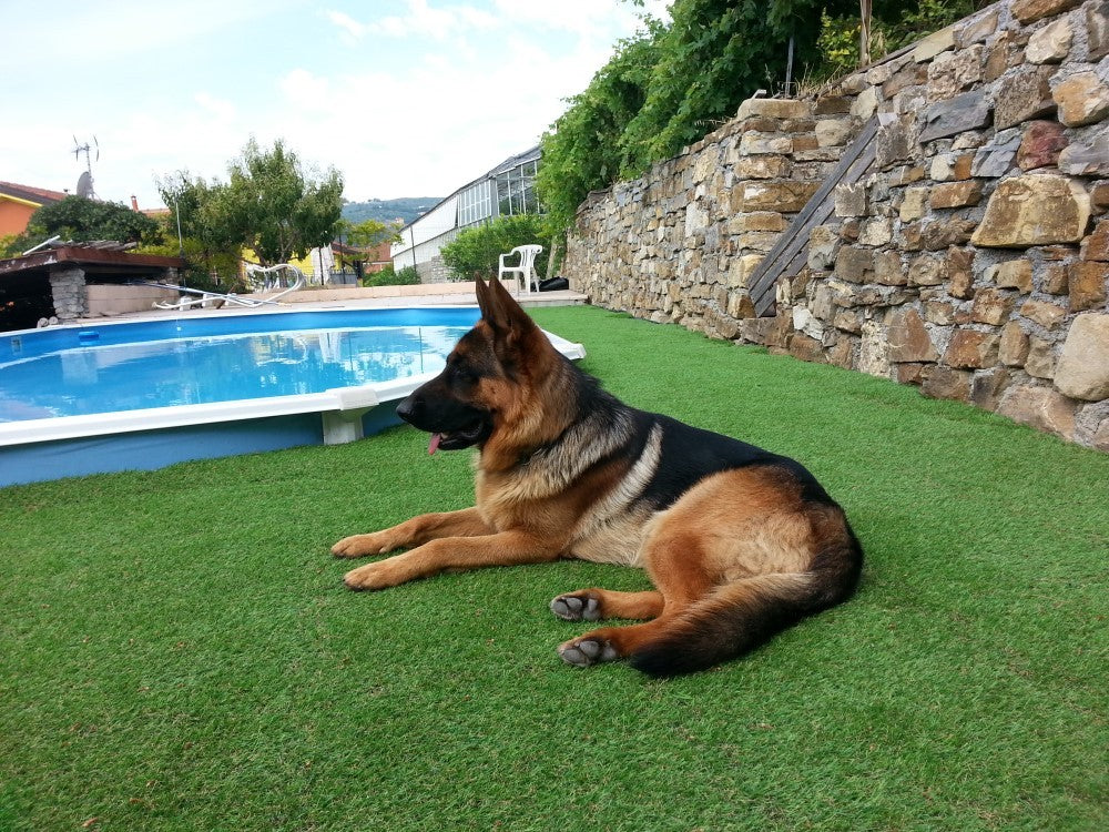 Pavimentazione Esseci Per Esterno VIRIDE