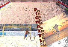 Kit segnaletica campi beach soccer Art. P221 mt 37x28