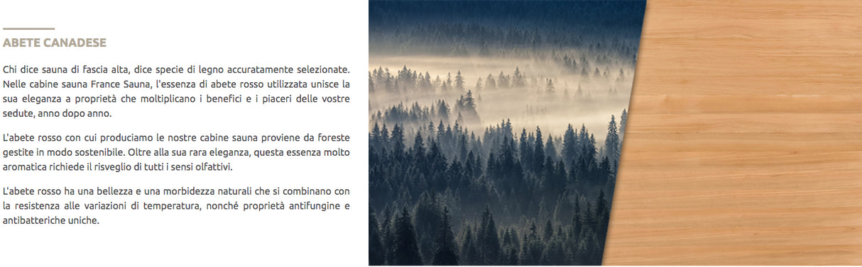 Sauna A Vapore Finlandese tradizionale Zen 4 Posti 6.0kW Parete Nera Cod. SN-ZEN4PKLX