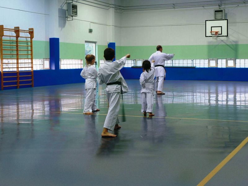 Protezione Murali DeS antitrauma sp. 22 mm Ignifuga cl1, ideale per palestre ed ambienti sportivi Cod. 084-1-LAV-BLU o 084-1-LAV-ROSSO