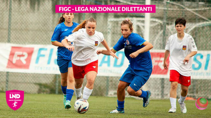 Pallone Calcio Gara Ufficiale Serie C Femminile n. 5 Molten Cod. F5N3150F HYBRID LND