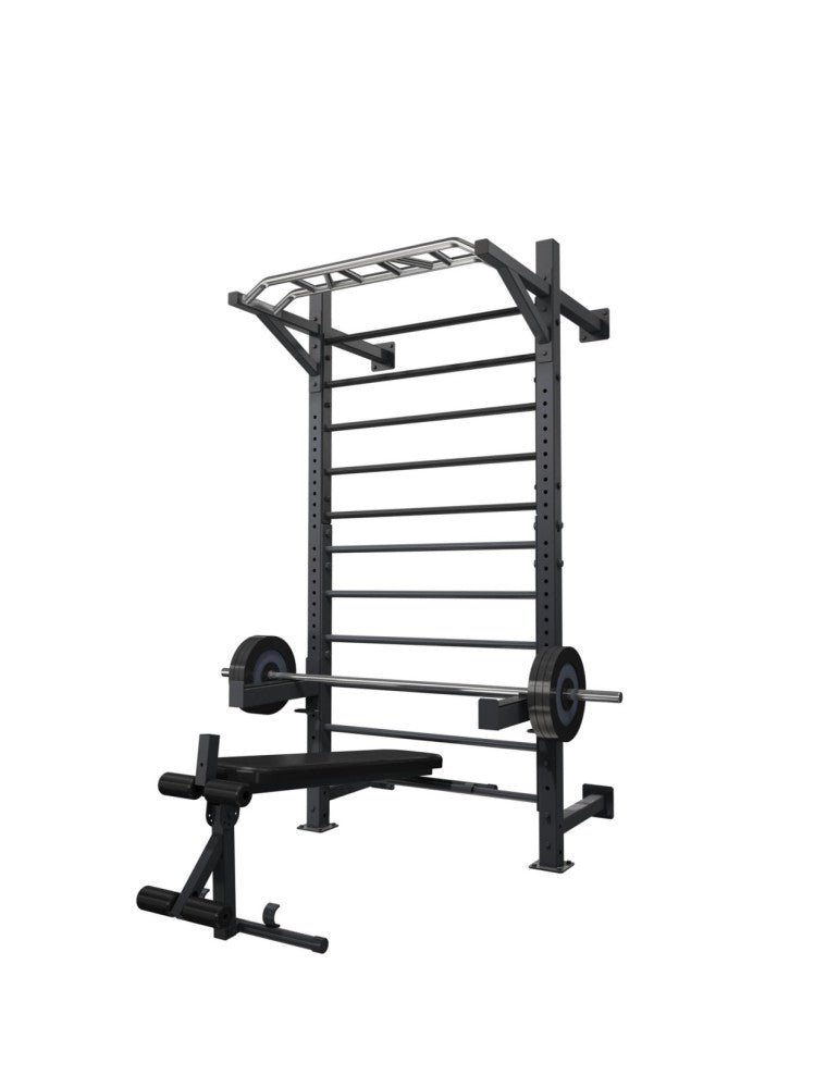 Bersaglio per spalliera LDX-5000 Toorx ALDX5-B