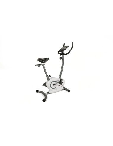 Cyclette Everfit BFK 800