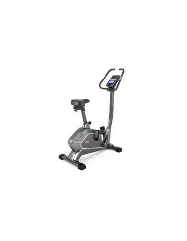 Cyclette Everfit BRX 90 Evo