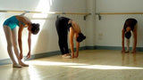 Sbarra danza arabesque singolo da muro mt 4 Dinamica Ballet