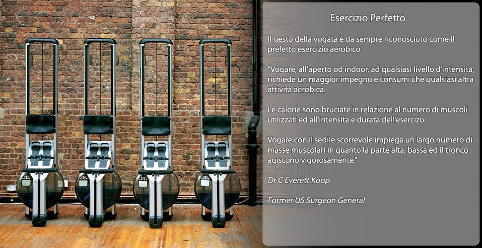 Vogatore Water Rower M1 Hi Rise Seduta Alta Struttura Acciaio Tubolare