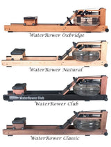 Vogatore Water Rower Oxbridge Struttura In Ciliegio