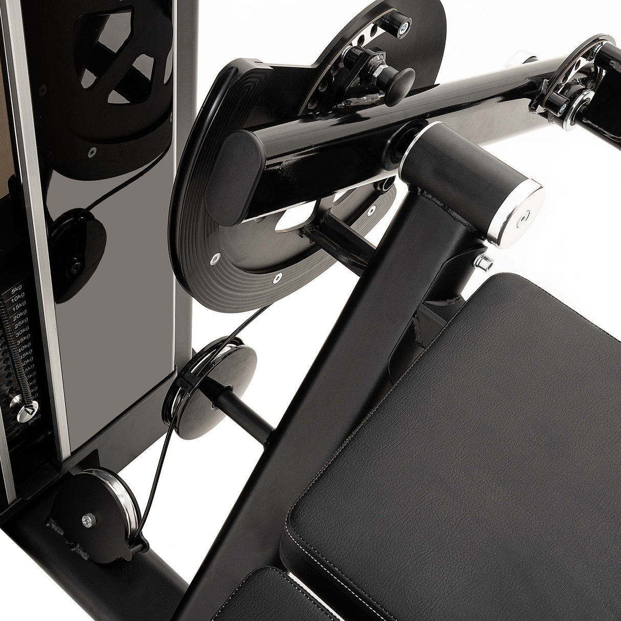 S550 LEG CURL Diamond Cod. WS550-LEGCURL