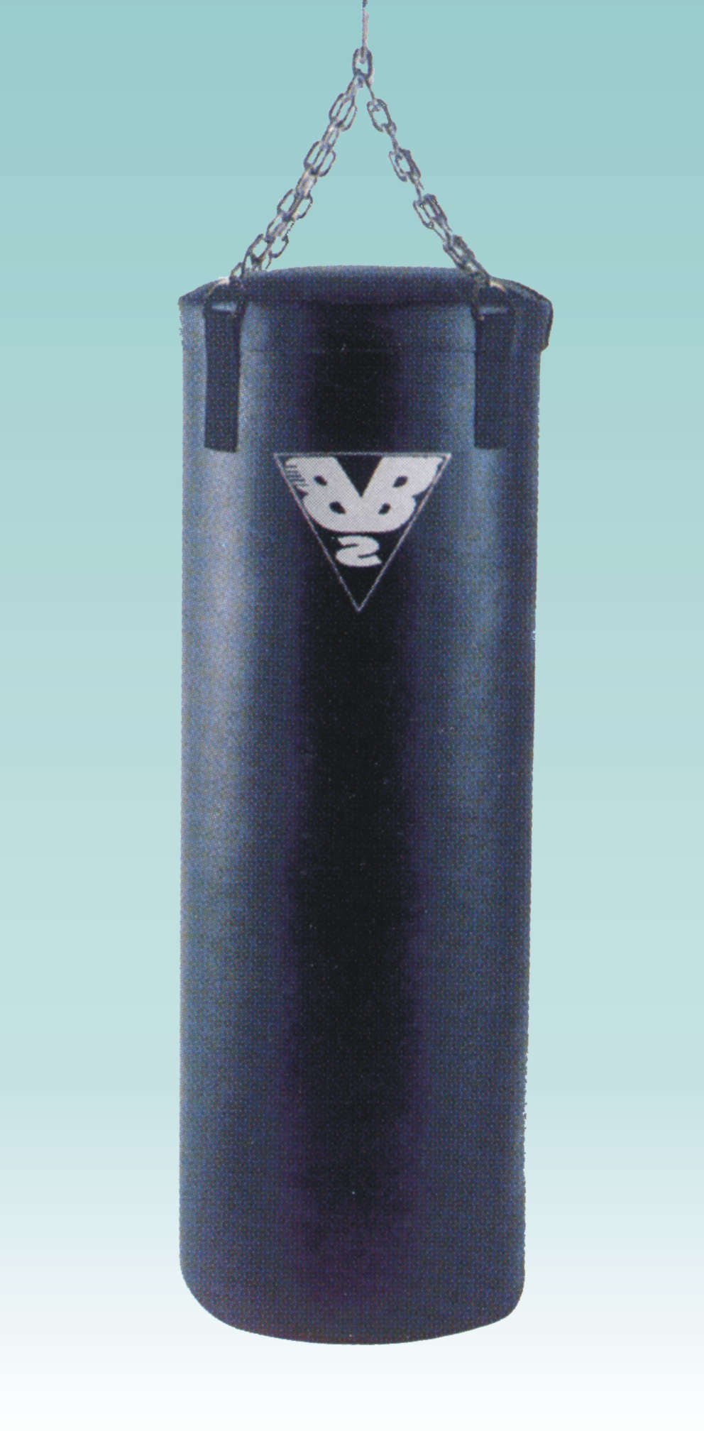 SACCO BOXE da 10/30/40 o 50 KG Sacco ø 25 alt. 70 con catena e moschettone COD. 8110 /8111/8112/8113