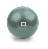 Palla da ginnastica Gym-Ball Toorx Liveness Dimensioni ø55, ø65, ø75 cm