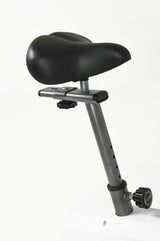 Cyclette Everfit Cod. BFK-800-EASY