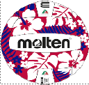 Pallone Molten Beach Volley Floreale Giallo/Verde o Blu/Rosso BEACH VOLLEY Cod. 25 YLW/GREEN o 25 RED/BLUE