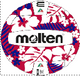 Pallone Molten Beach Volley Floreale Giallo/Verde o Blu/Rosso BEACH VOLLEY Cod. 25 YLW/GREEN o 25 RED/BLUE