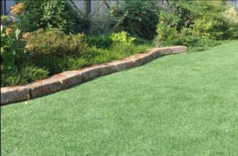 ERBA SINTETICA Royal Erba sintetica da arredo a filo lungo (25 mm.) per giardini, terrazzi, gazebo, bordi piscina, aree gioco