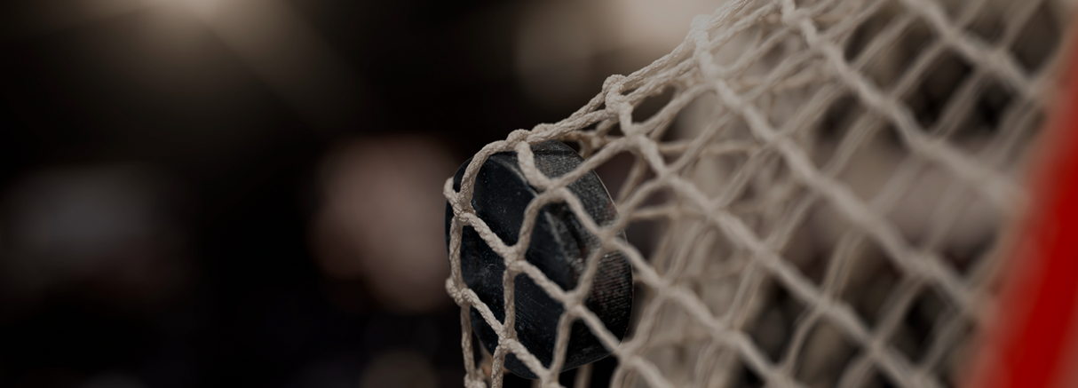 Rete Regolamentare Hockey 45x4mm Art. H3 con tenda ammortizzatrice