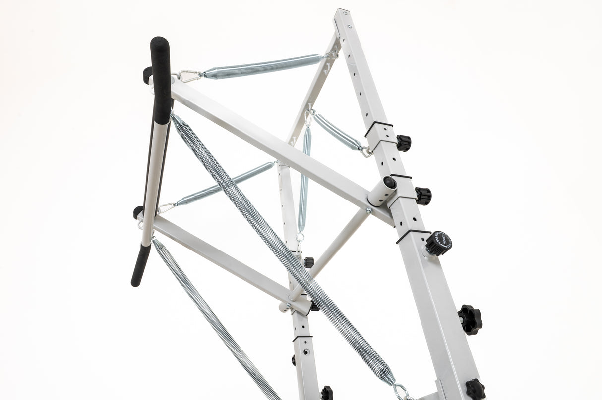 Reformer PTX300 cod. PTX-300MS Moon&Sand