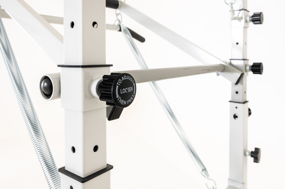 Reformer PTX300 cod. PTX-300MS Moon&Sand