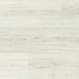 WOOD SPC Pavimento vinilico EFFETTO LEGNO spc per palestra, reception e vari ambienti   (Stone Plastic Composite)